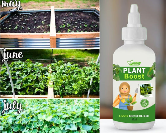 Organic Plant Booster (Pack of 4)