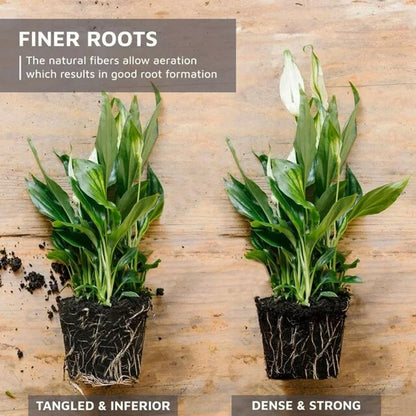 Organic Coconut Coir for Plants