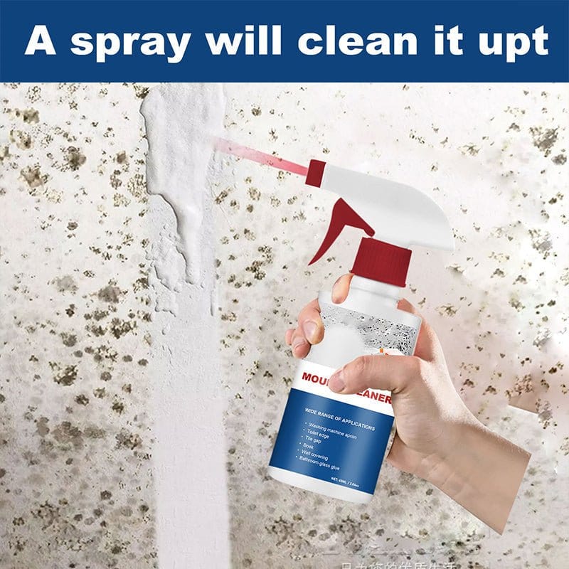 Pest & mould Cleaning Foam Spray (Pack of 2)